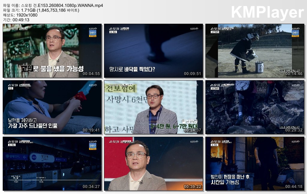 스모킹 건.E153.260804.1080p.WANNA