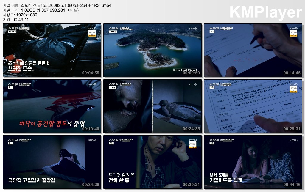 스모킹 건.E155.260825.1080p.H264-F1RST