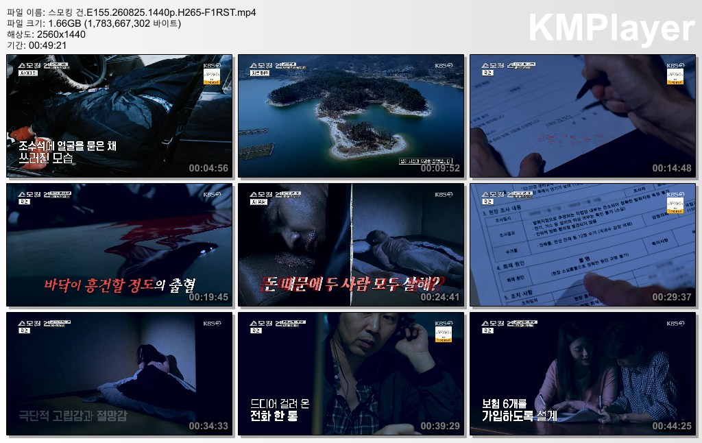 스모킹 건.E155.260825.1440p.H265-F1RST