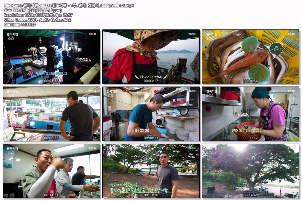 한국기행.260824.반도기행 - 1부. 왔다! 갯장어.1080p.WEB-DL