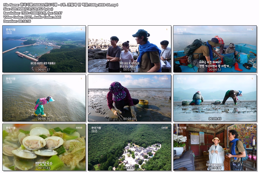 한국기행.260826.반도기행 - 3부. 갯벌에 핀 백합.1080p.WEB-DL