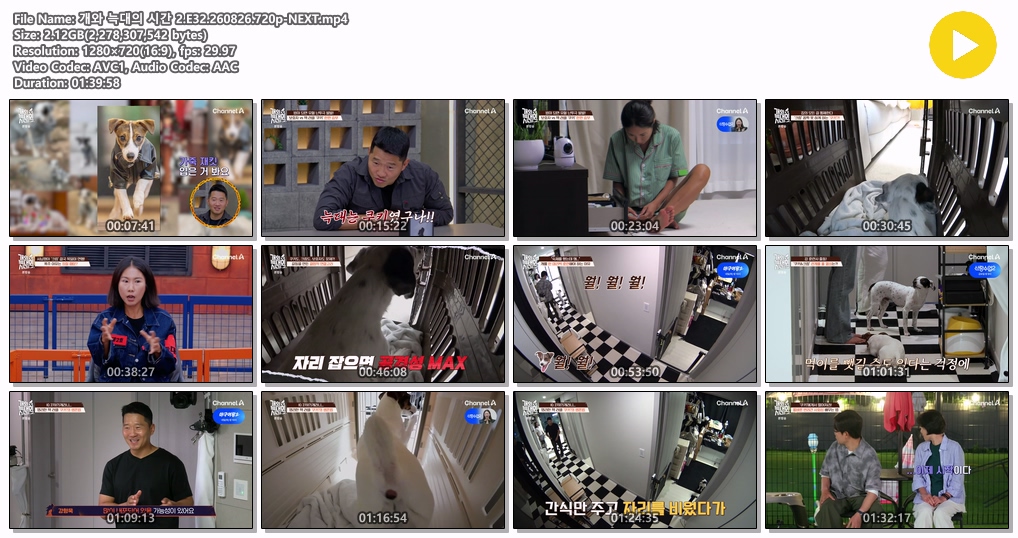 개와 늑대의 시간 2.E32.260826.720p-NEXT