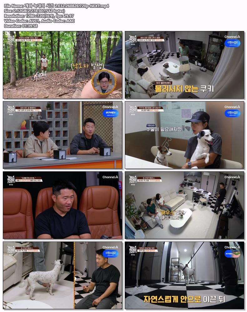 개와 늑대의 시간 2.E32.260826.720p-NEXT