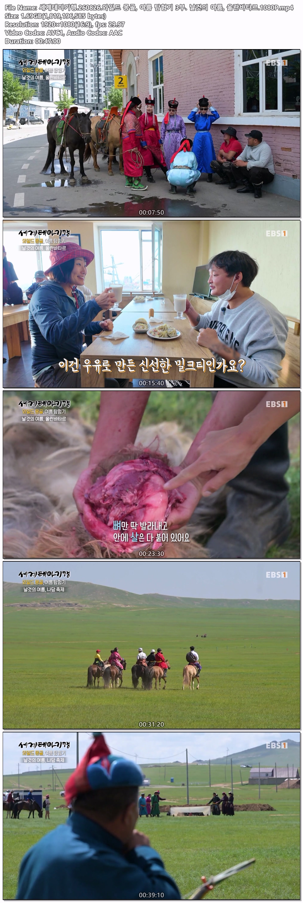 세계테마기행.260826.와일드 몽골, 여름 탐험기 3부. 날것의 여름, 울란바타르.1080P