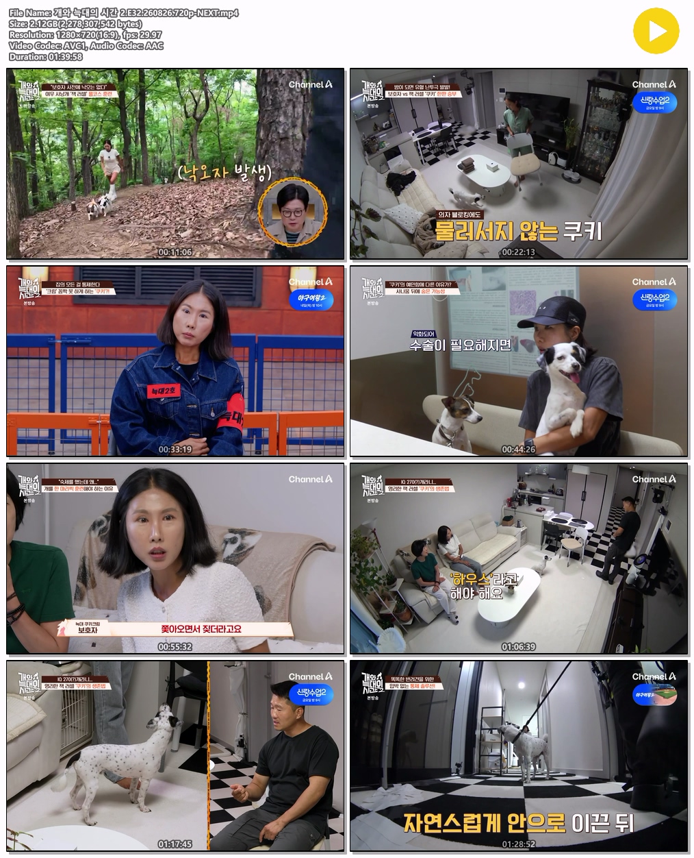 개와 늑대의 시간 2.E32.260826.720p-NEXT