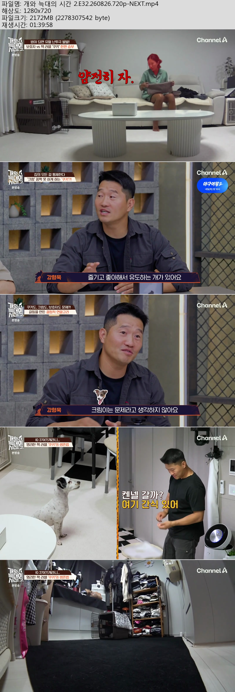 개와 늑대의 시간 2.E32.260826.720p-NEXT