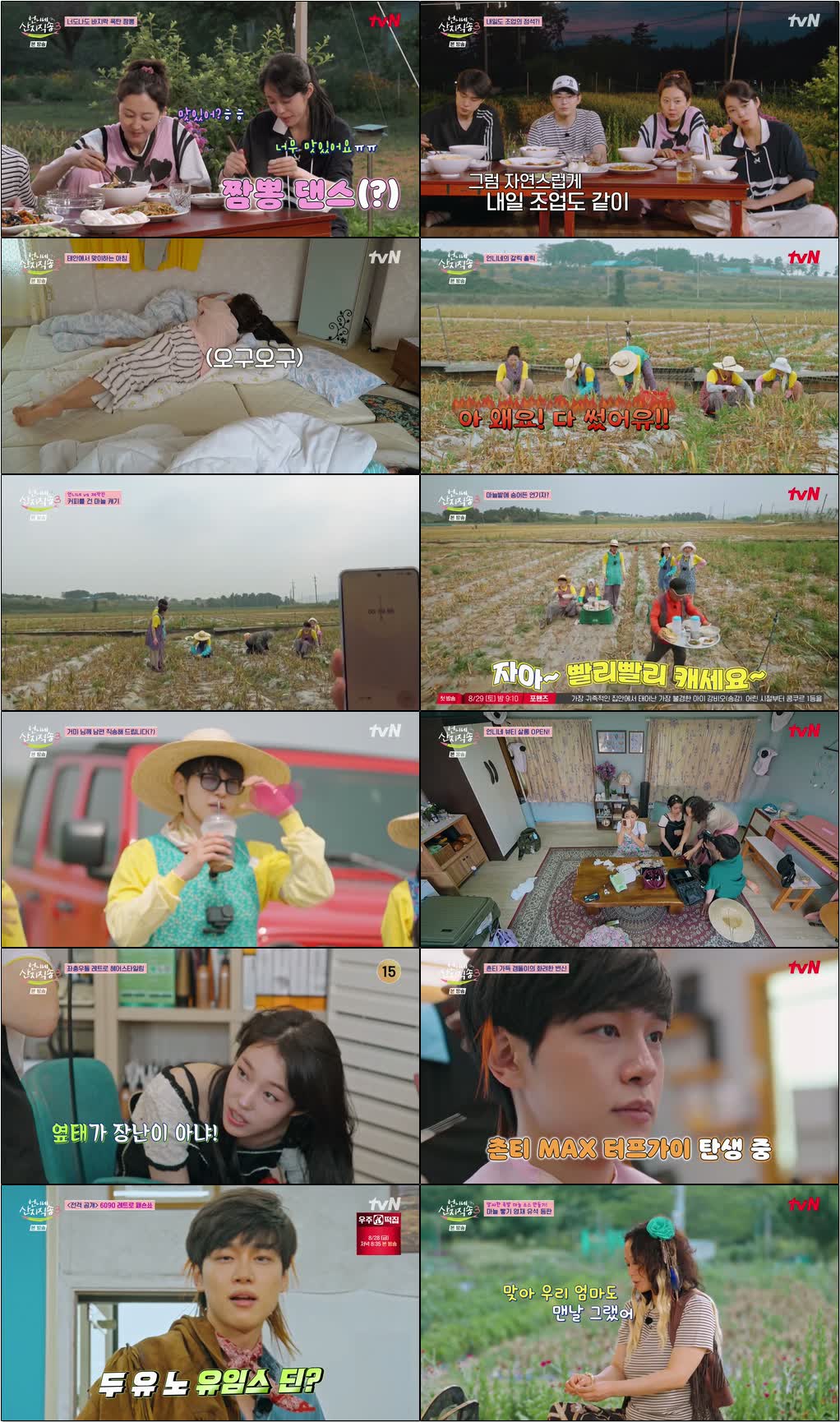 언니네 산지직송3.E05.260827.720p-NEXT