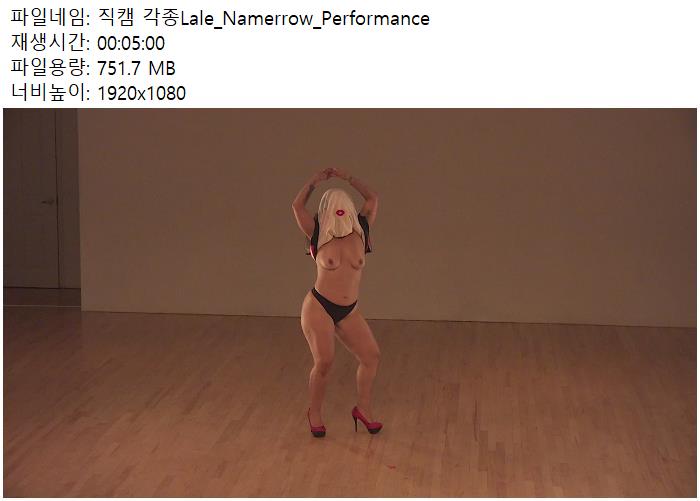 직캠 각종Lale_Namerrow_Performance