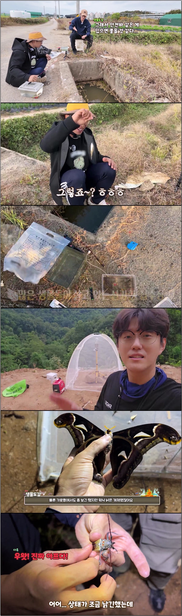 희귀한 생물 대백과 [TV생물도감 시즌3 23화]