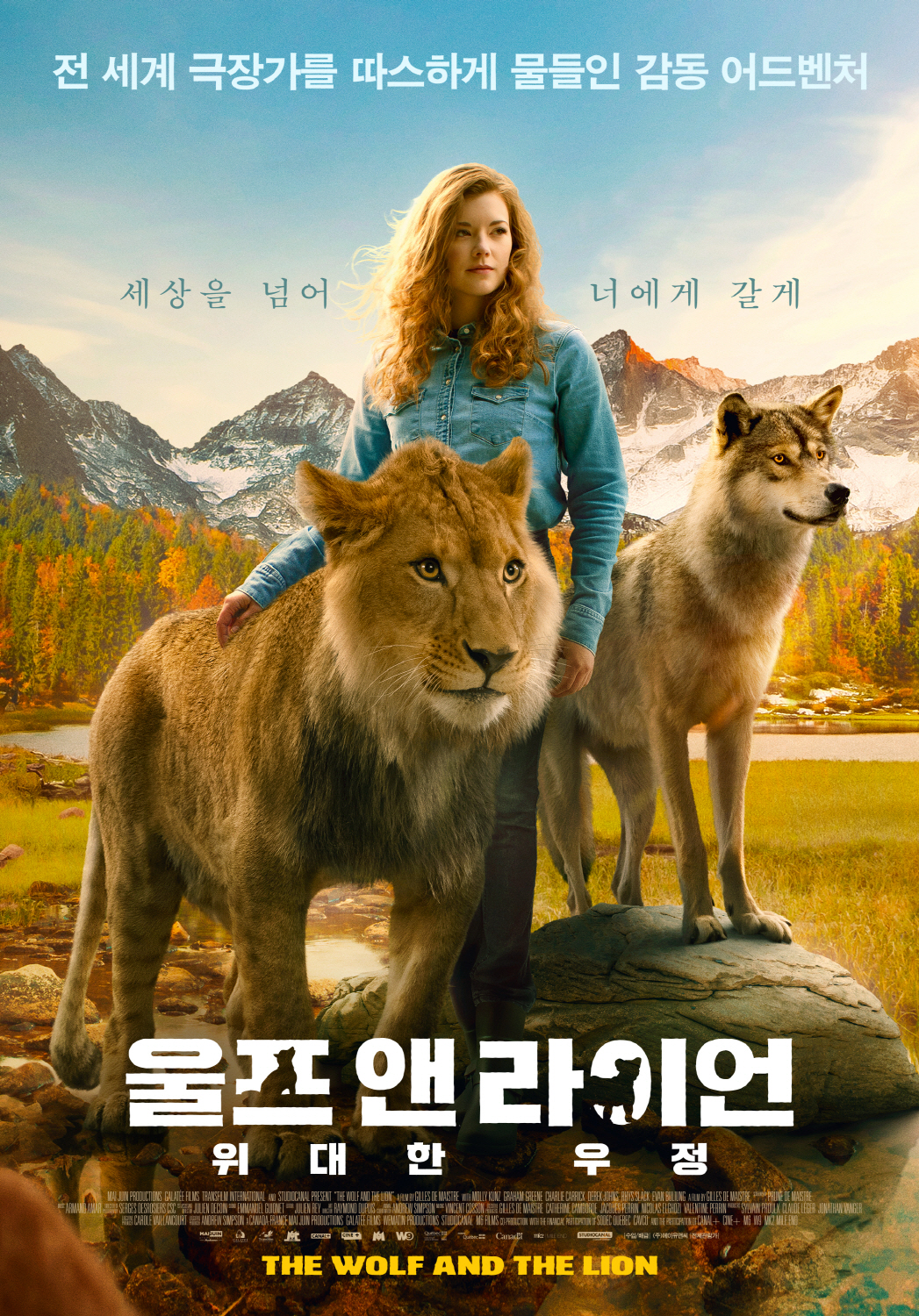 더 울프 앤드 라이언 "세상에서 가장 특별한 늑대와 사자의 우정!"