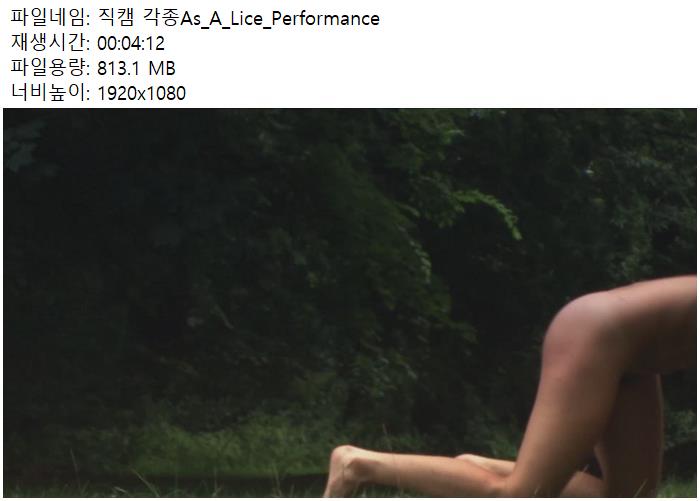 직캠 각종As_A_Lice_Performance
