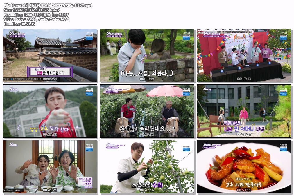 6시 내고향.E8616.260827.720p-NEXT