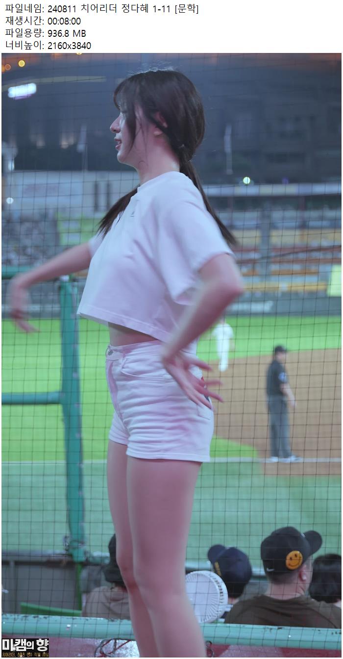 240811 치어리더 정다혜 1-11 [문학]