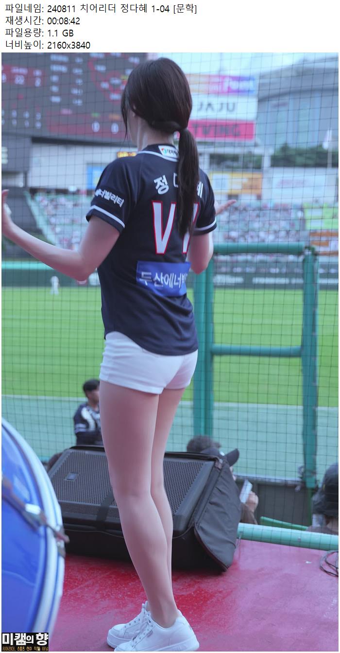 240811 치어리더 정다혜 1-04 [문학]