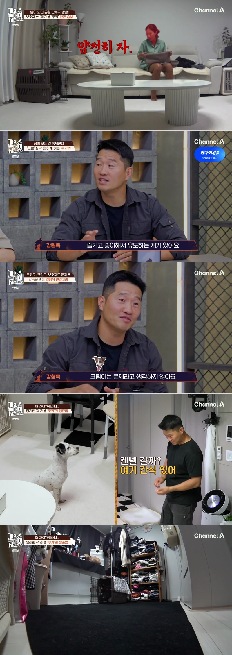 개와 늑대의 시간 시즌2.E32.260826.1080p.H264-F1RST