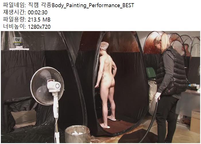 직캠 각종Body_Painting_Performance_BEST