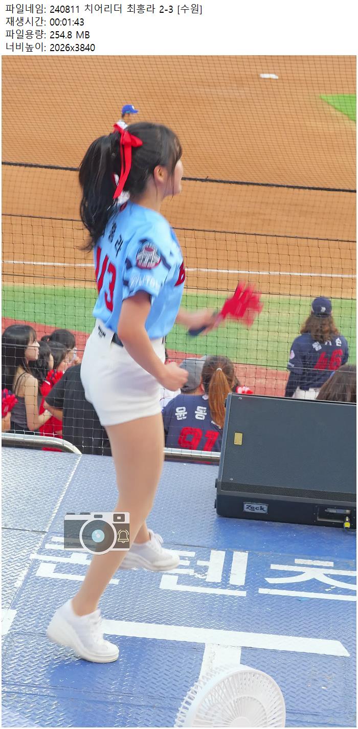 240811 치어리더 최홍라 2-3 [수원]