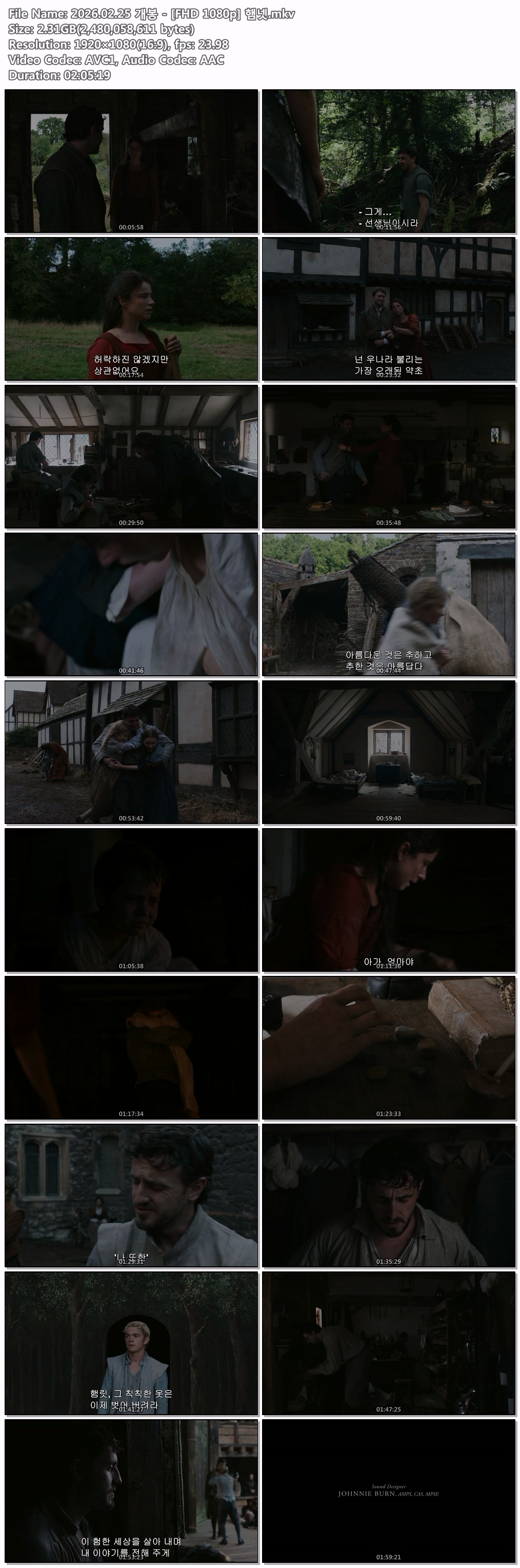 2026.02.25 개봉 - [FHD 1080p] 햄넷