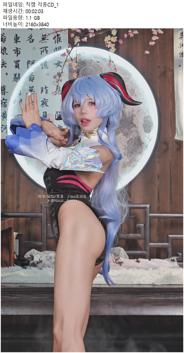 직캠 각종CD_1