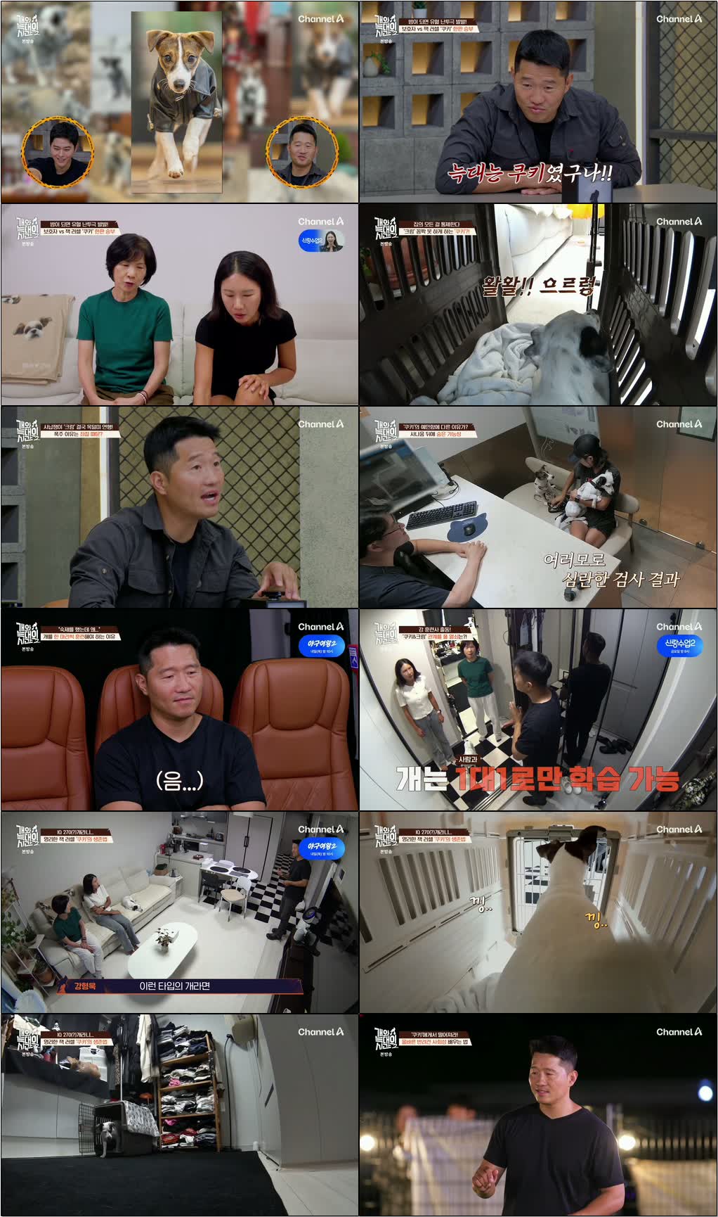 개와 늑대의 시간 시즌2.E32.260826.720p.H264-F1RST