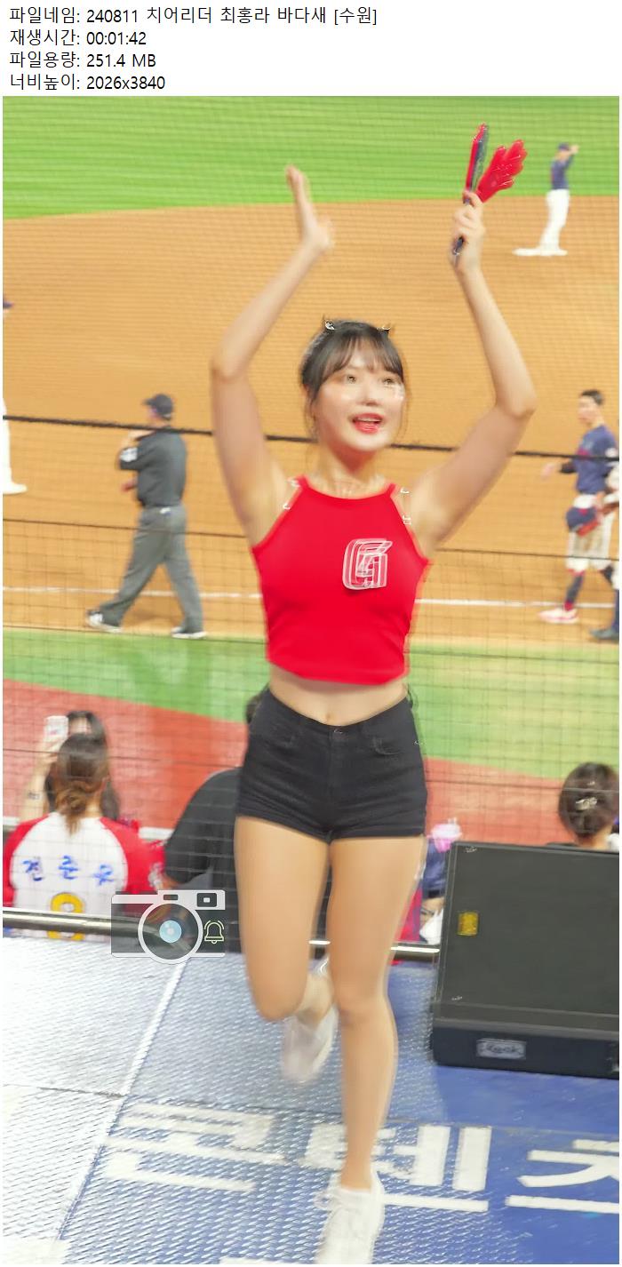 240811 치어리더 최홍라 바다새 [수원]