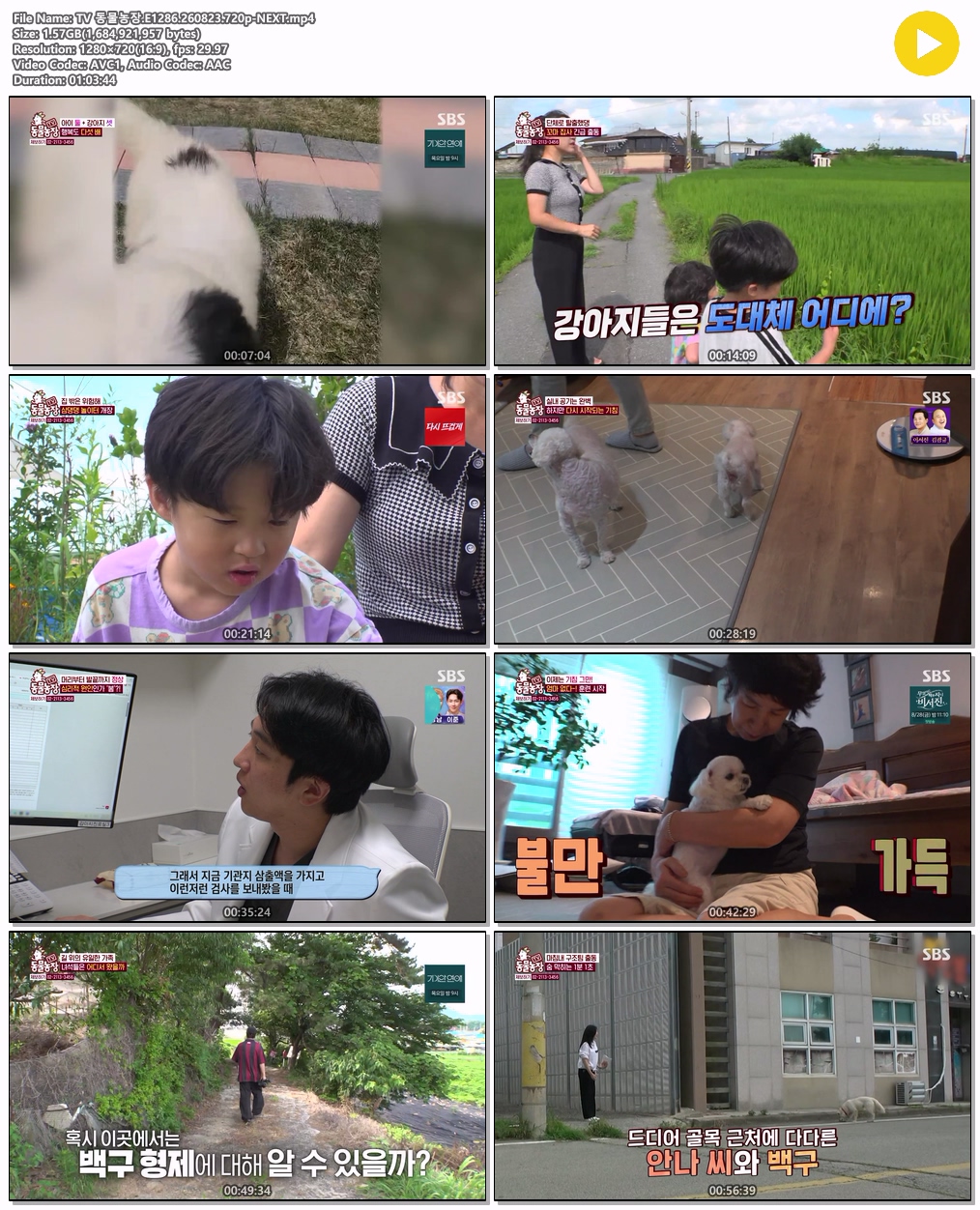 TV 동물농장.E1286.260823.720p-NEXT