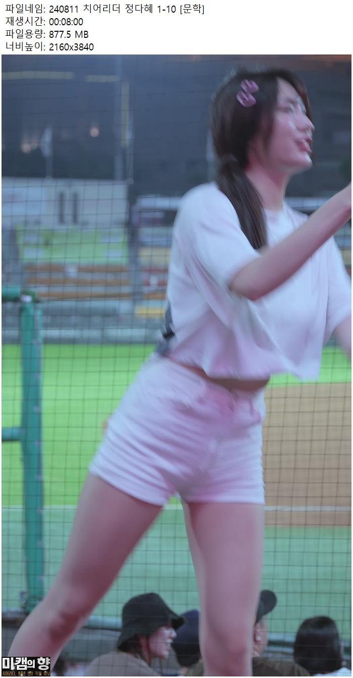 240811 치어리더 정다혜 1-10 [문학]