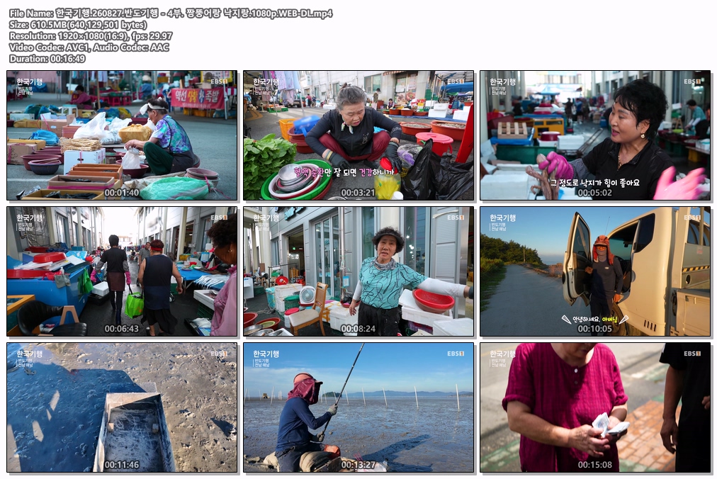 한국기행.260827.반도기행 - 4부. 짱뚱어랑 낙지랑.1080p.WEB-DL