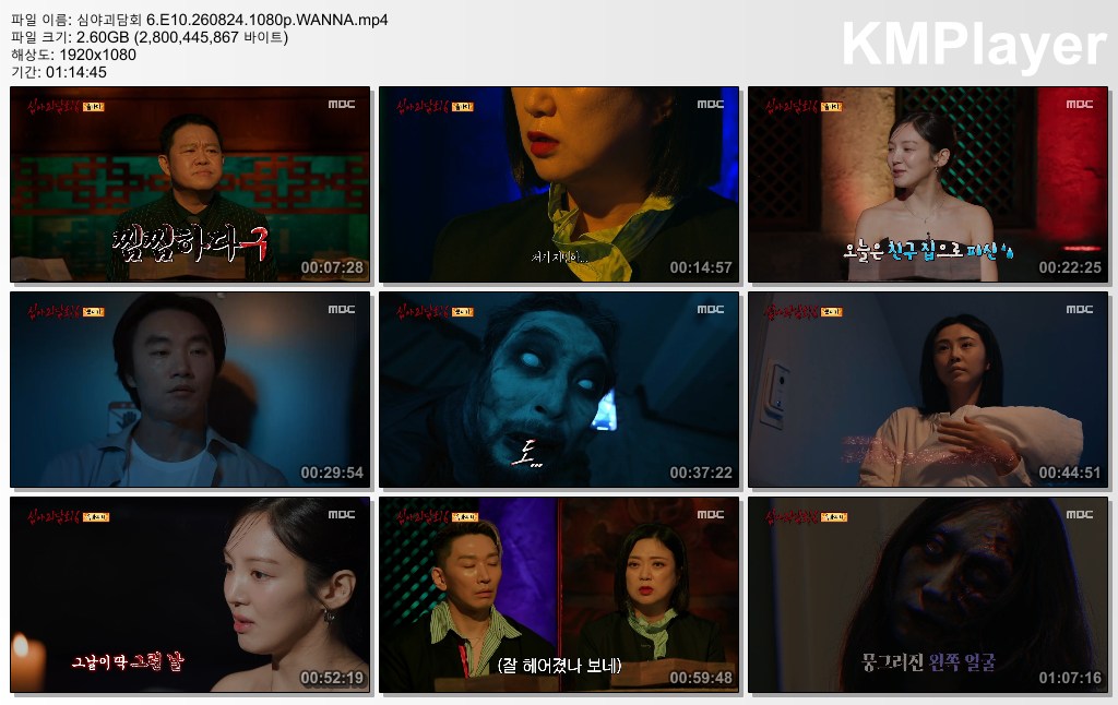 심야괴담회 6.E10.260824.1080p.WANNA