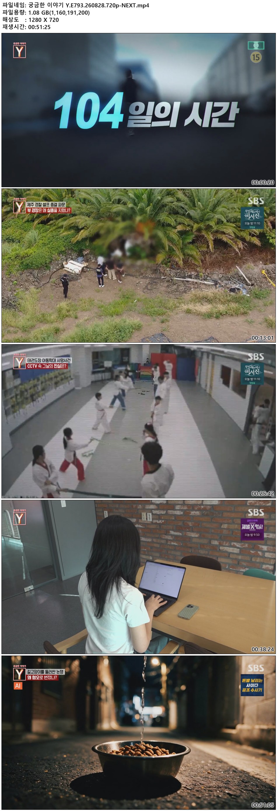 궁금한 이야기 Y.E793.260828.720p-NEXT