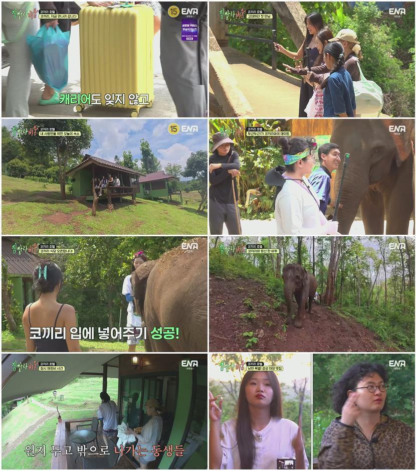 짐쌀라비움.E04.260822.1080p.H265-F1RST