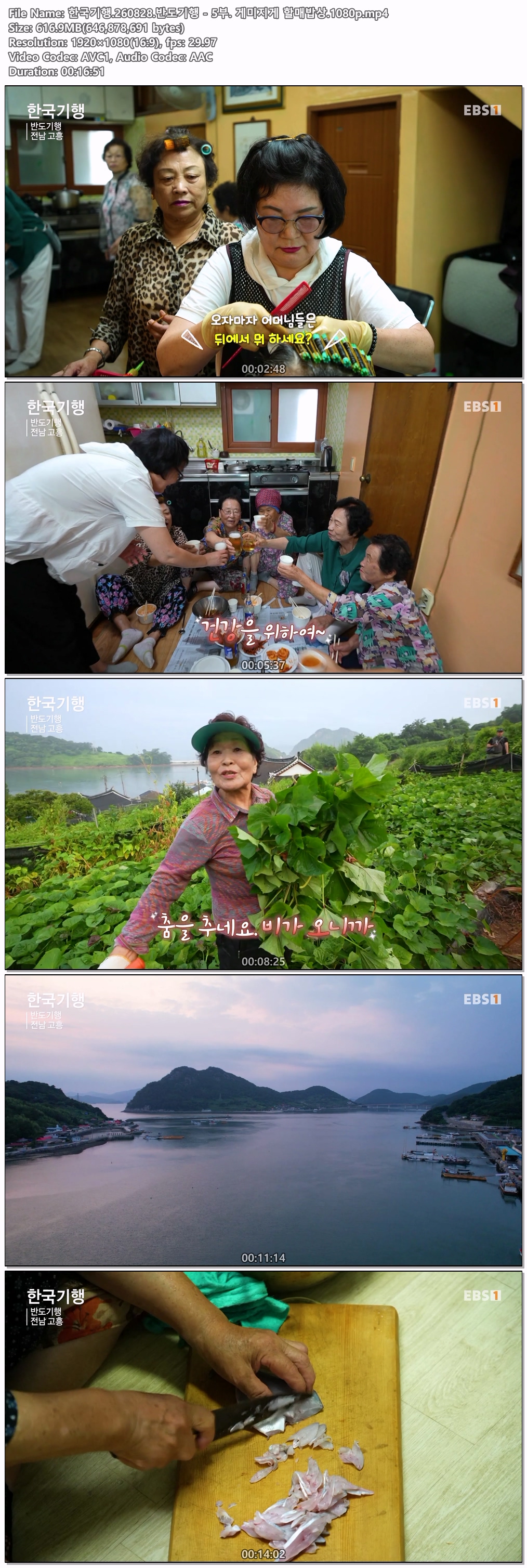 한국기행.260828.반도기행 - 5부. 게미지게 할매밥상.1080p