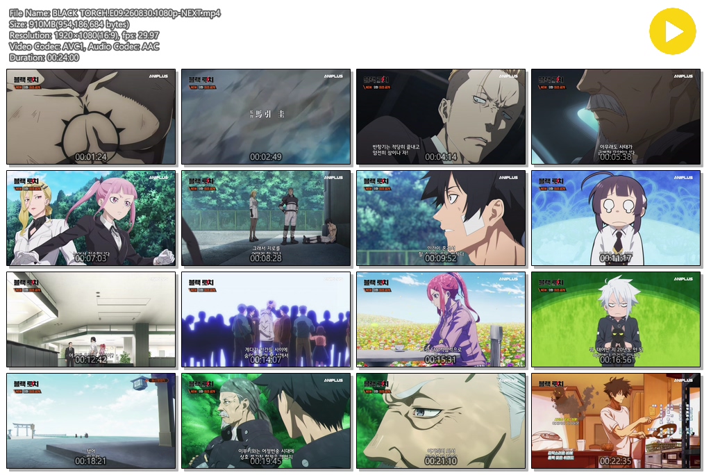 BLACK TORCH.E09.260830.1080p-NEXT