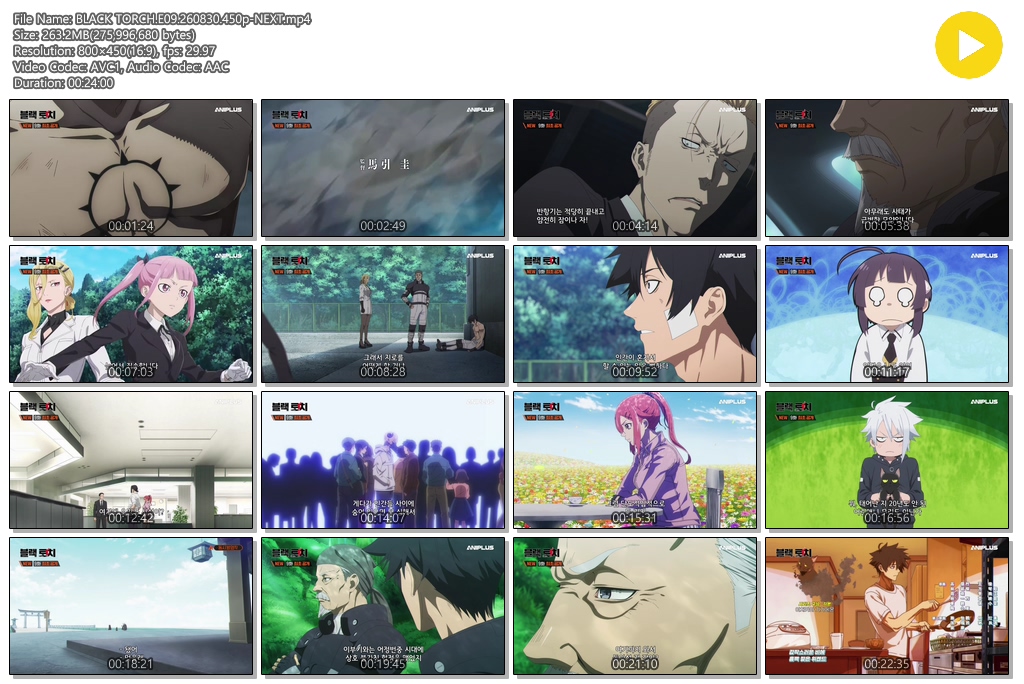 BLACK TORCH.E09.260830.450p-NEXT