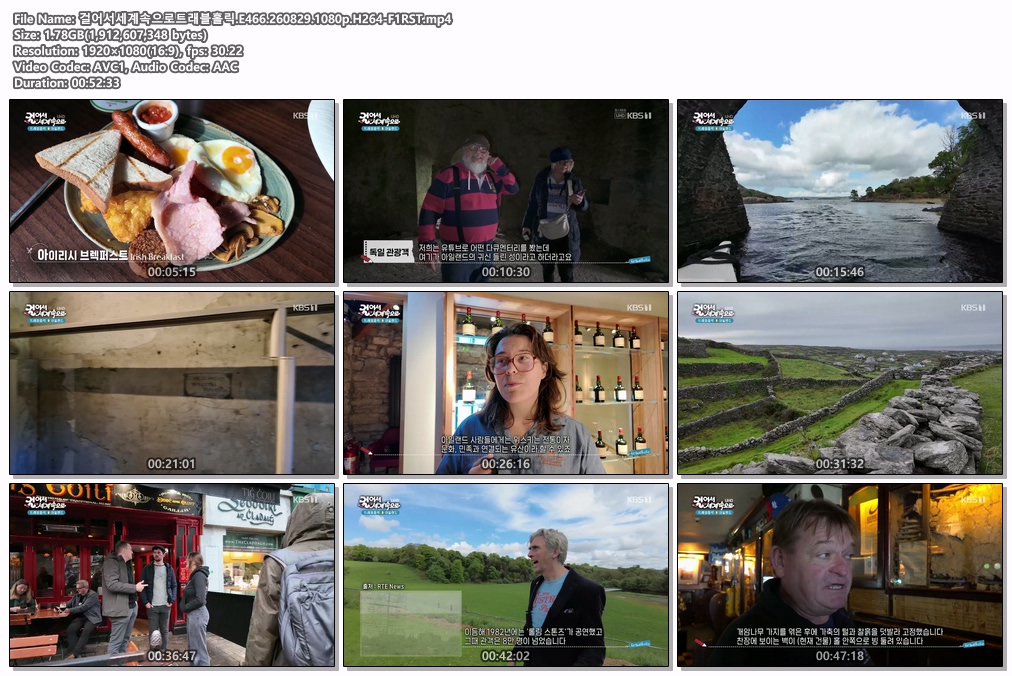 걸어서세계속으로트래블홀릭.E466.260829.1080p.H264-F1RST