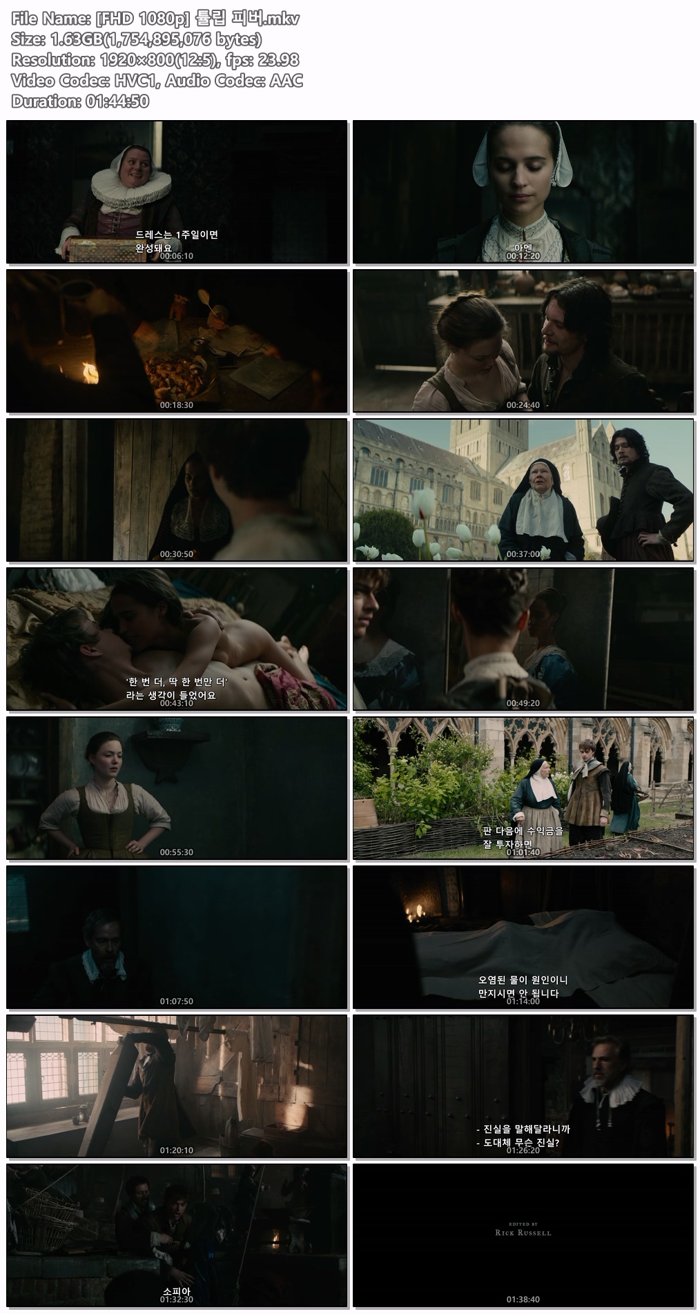 [FHD 1080p] 튤립 피버