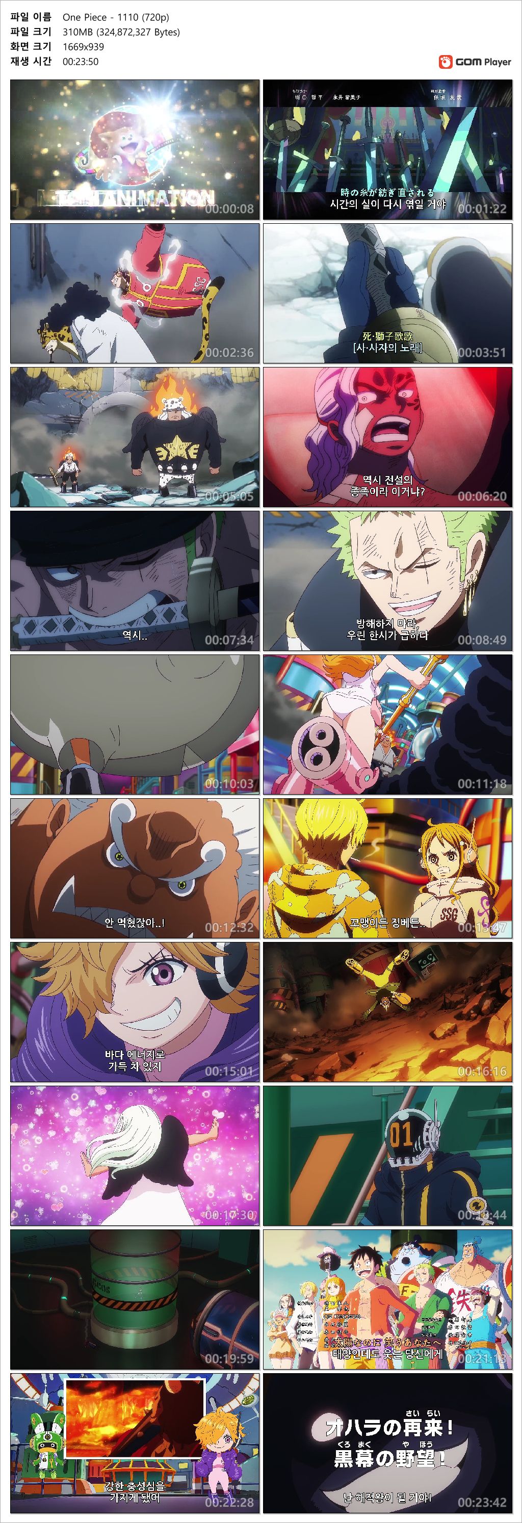 [ANIPLUS] One Piece - 1110 (1280x720)