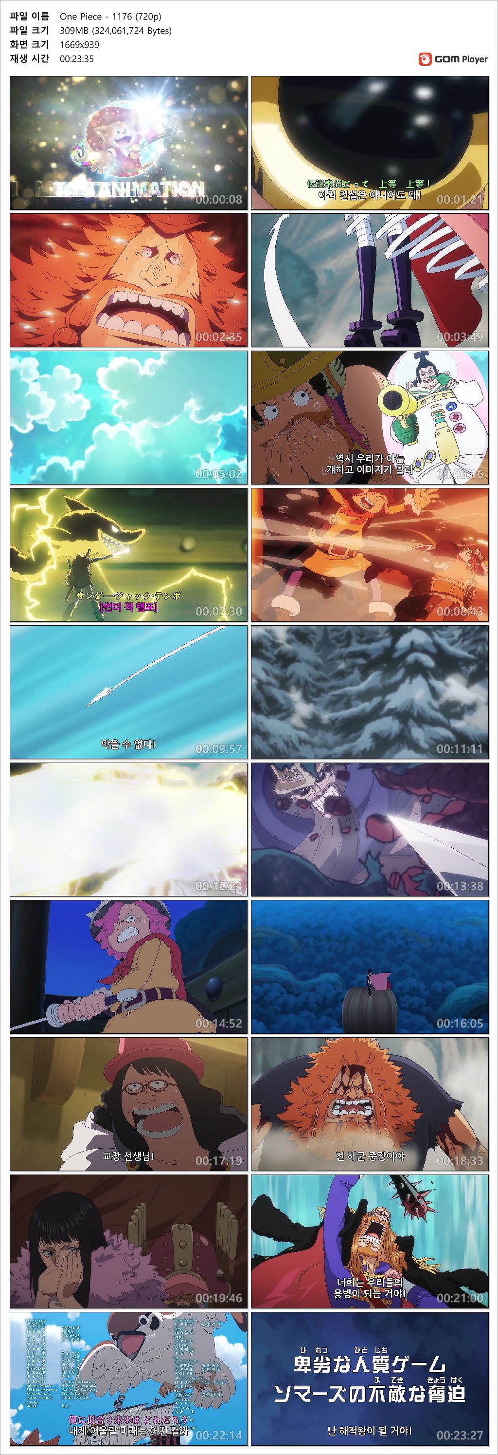 [ANIPLUS] One Piece - 1176 (1280x720)