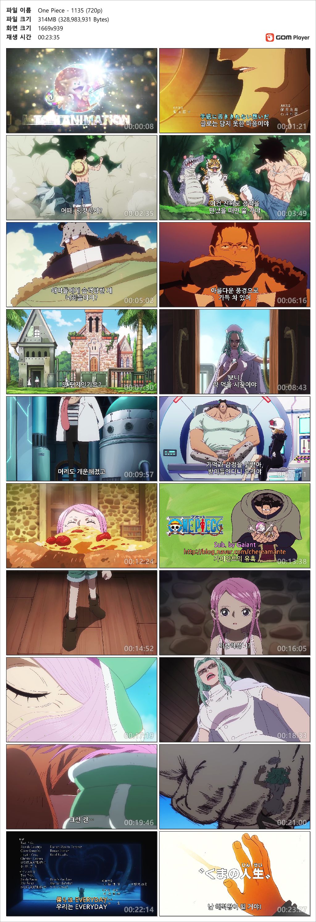 [ANIPLUS] One Piece - 1135 (1280x720)