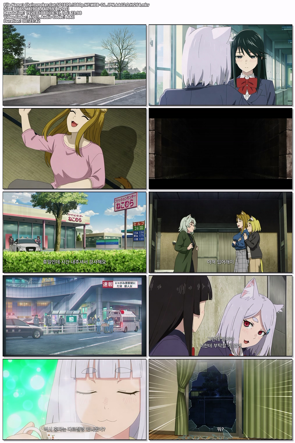 담배 고양이- Chainsmoker Cat S01 E09 [1080p] [NF]