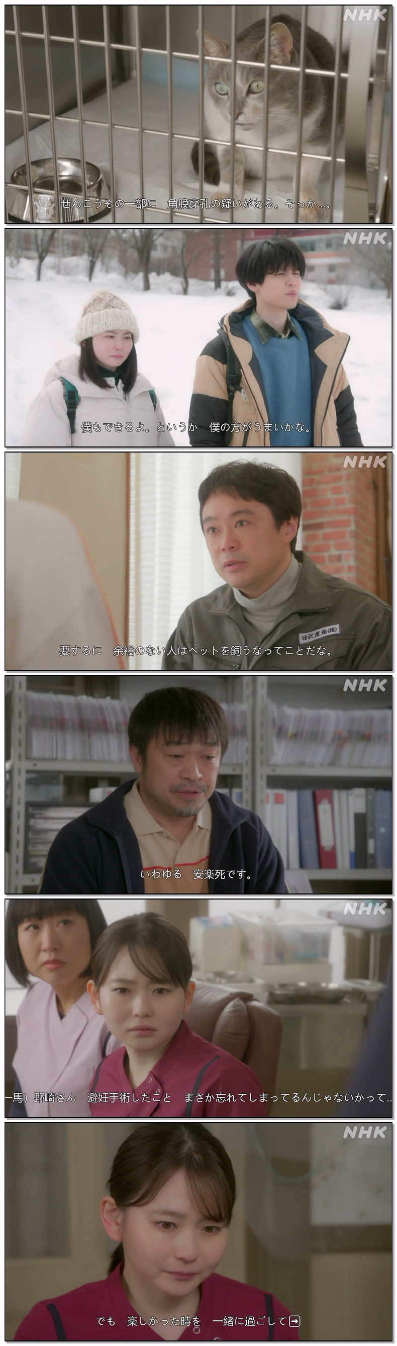리라꽃 피는 동물의 통로2(2026) 제01화 720p 일자막