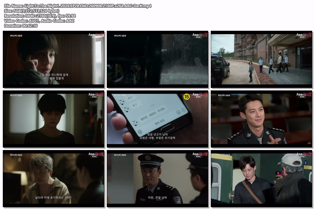 Light.To.The.Night!..2026.EP28.END.260908.2160P.x264.AAC-DarK