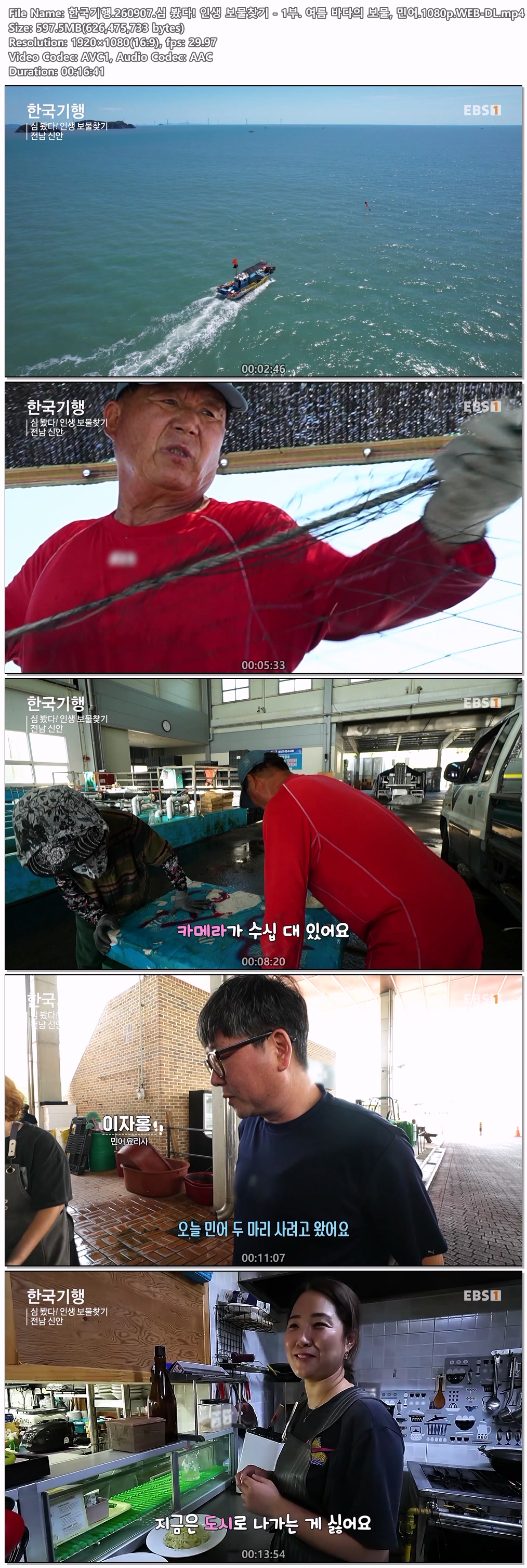 한국기행.260907.심 봤다! 인생 보물찾기 - 1부. 여름 바다의 보물, 민어.1080p.WEB-DL