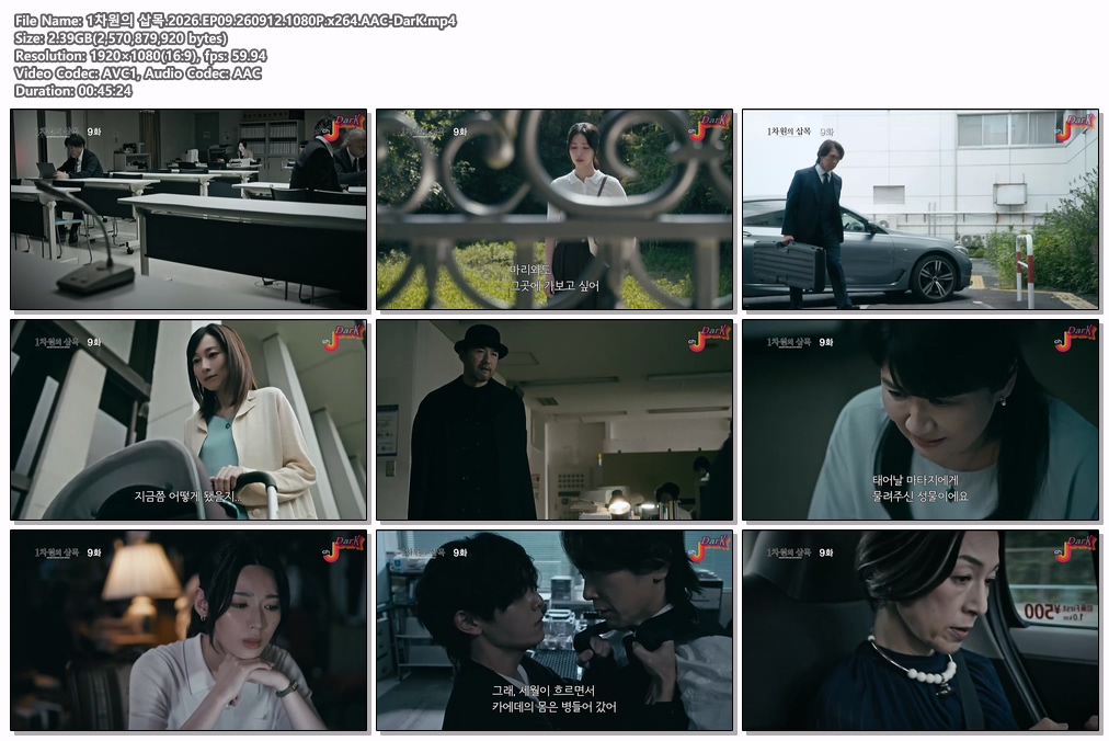 1차원의 삽목.2026.EP09.260912.1..