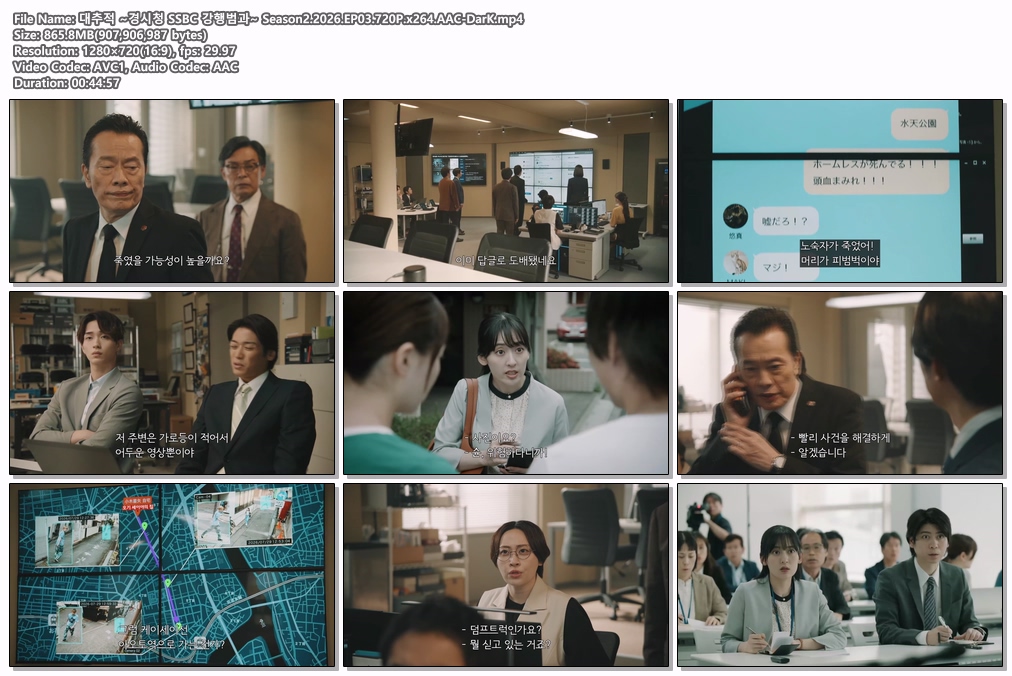 대추적 ~경시청 SSBC 강행범과~ Season..