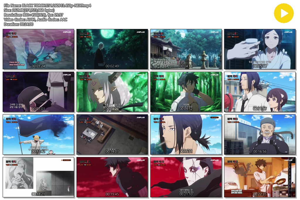 BLACK TORCH.E11.260913.450p-NEXT