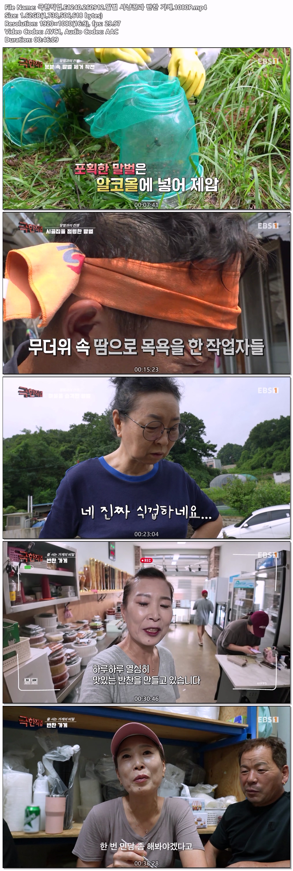 극한직업.E1240.260912.말벌 사냥꾼과 반찬 가게.1080P