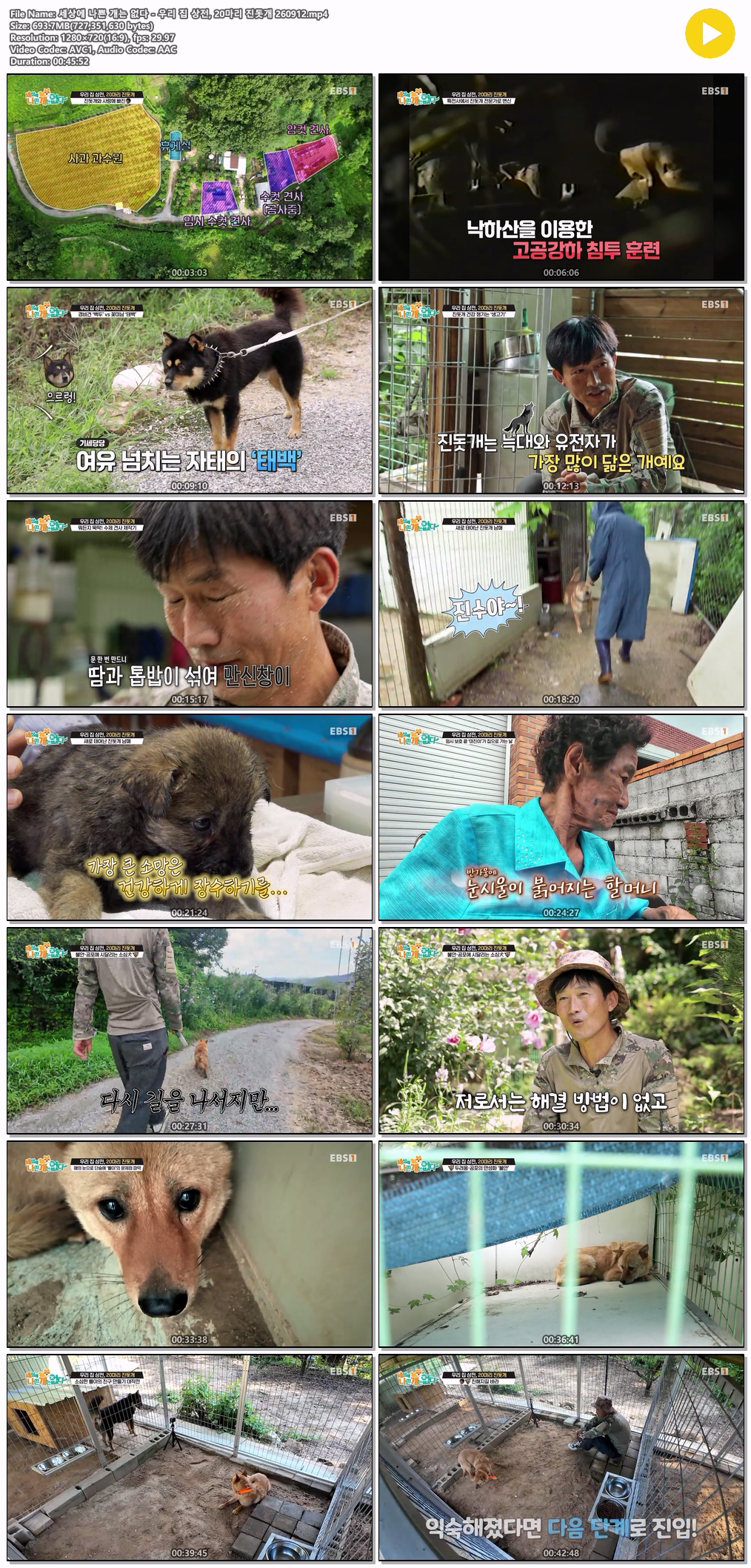 세상에 나쁜 개는 없다 - 우리 집 상전, 20..
