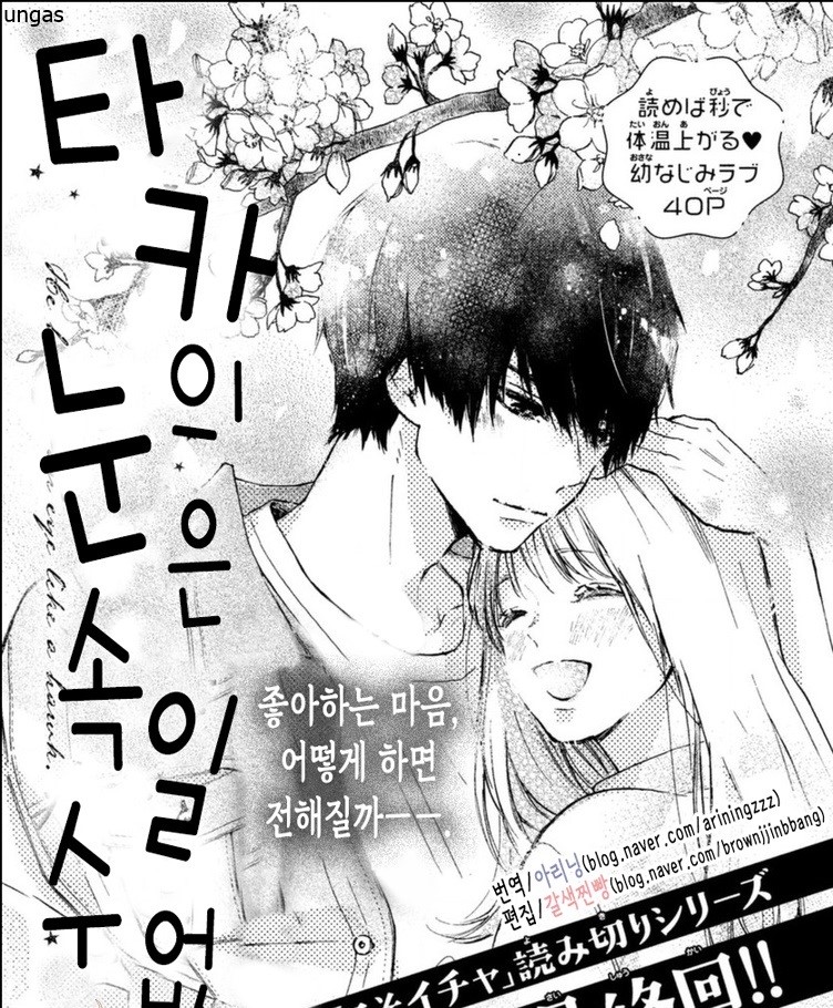 타카의 눈은 속일 수 없어 [단권] [완결]_＃