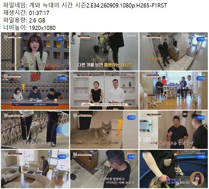 개와 늑대의 시간 시즌2.E34.260909.1080p.H265-F1RST